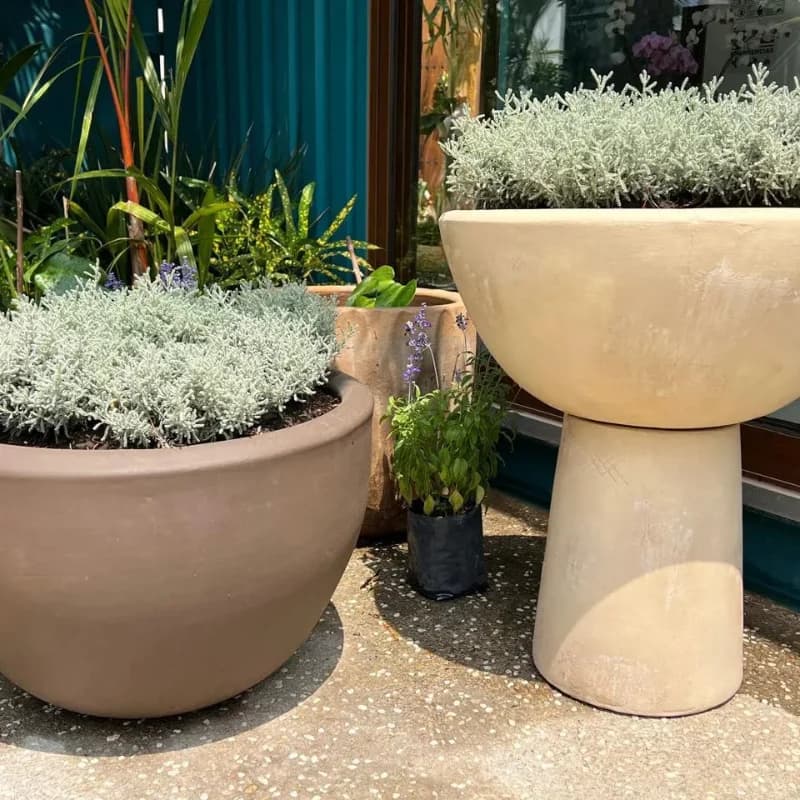 macetas-rusticas-jardineria